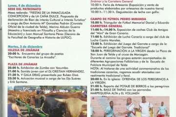 Programa de fiestas de La Concepción y la Caña Dulce 2017 (Foto TA)