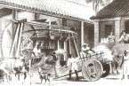 Recreación del cultivo y comercialización de la caña de azúcar en el siglo XVI (Foto Archivo)