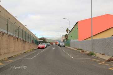Calle Manuel Verdugo  (Foto  Luis A. López Sosa)
