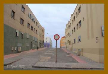 Calle Mimosa (Foto Luis A. López Sosa)