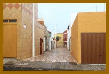 Calle de Nopal, en la urbanización Lomo Los Melones (Foto Luis A. López Sosa)