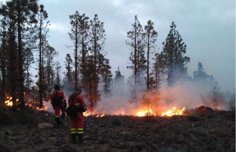 Imagen de los efectivos de la UME atacando el frente de fuego (Foto TA)