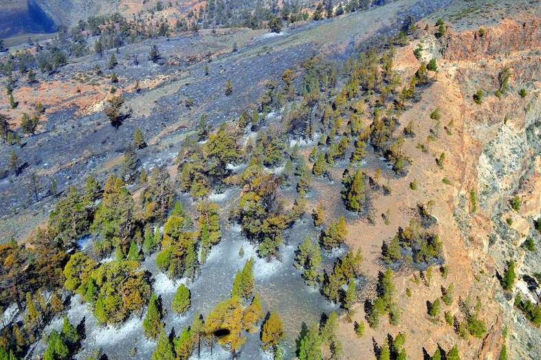 Imagen de la zona quemada (Foto TA)