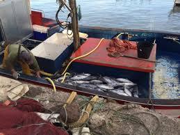 Imagen de archivo de una embarcación de la flota pesquera basada en Telde (Foto TA)