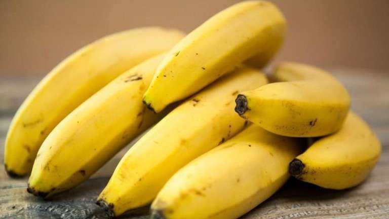 El año pasado la producción de plátanos canarios alcanzó los 420 millones de kilos (Foto Canarias7)