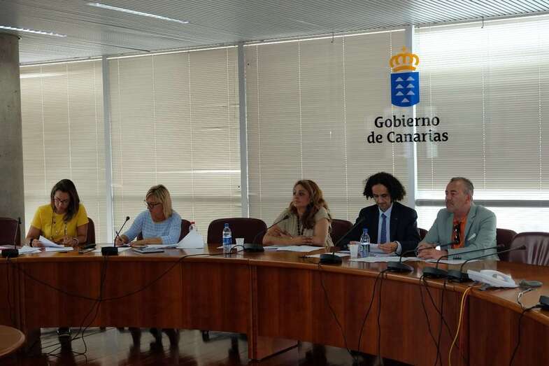 El Consejo General de Empleo de Canarias se reunió este jueves (Foto TA).