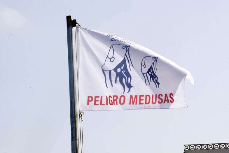 Bandera que avisa de medusas (Foto TA)