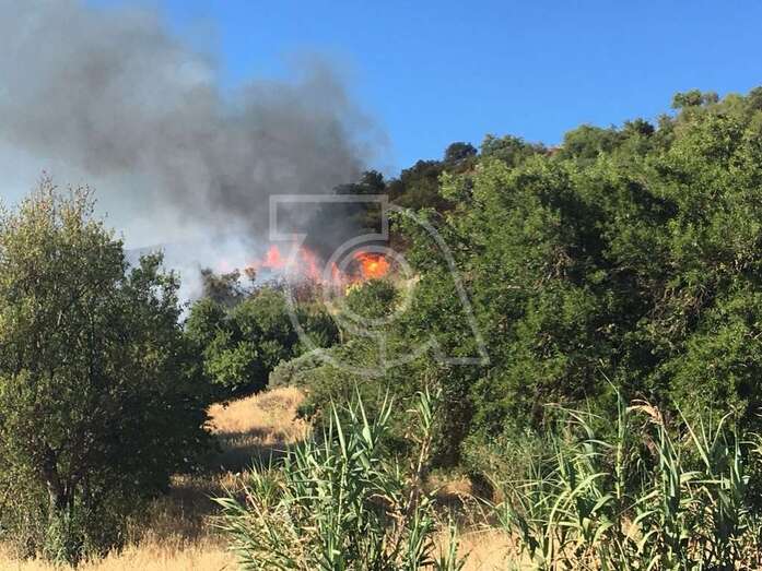 Incendio forestal del pasado día 2 de agosto en Cazadores (Foto TA)