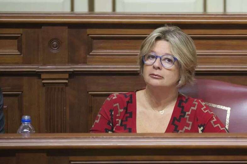 Josefa Luzardo, diputada del PP en el Parlamento canario (Foto TA)