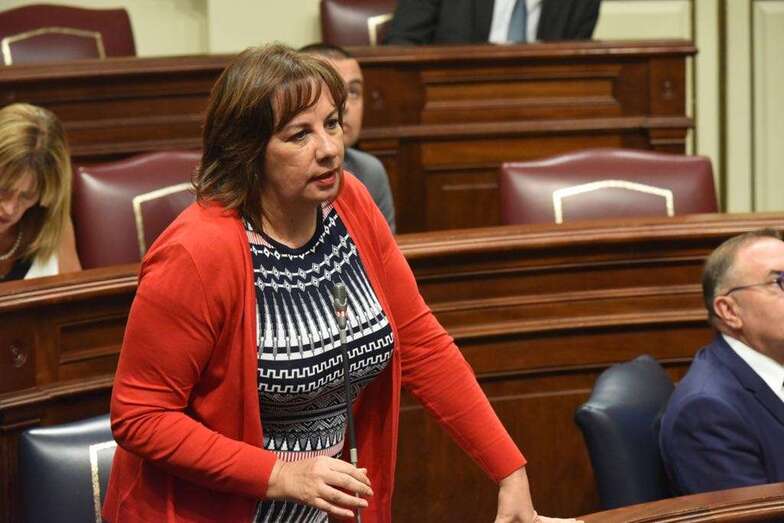 Soledad Monzón, hoy en el Parlamento de Canarias (Foto TA)