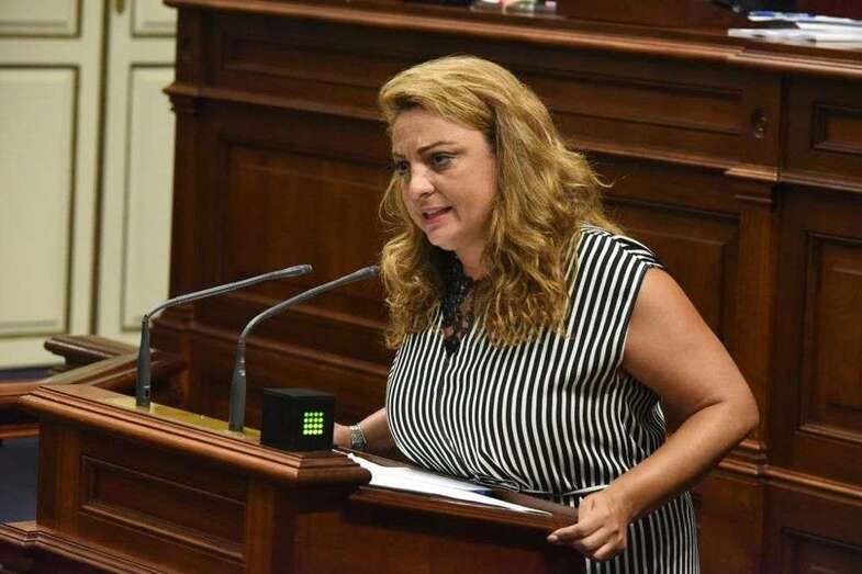 La consejera de Empleo, Políticas Sociales y Vivienda del Gobierno de Canarias, Cristina Valido (Foto EFE)