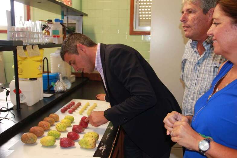 El consejero Narvay Quintero, de visita en las instalaciones del ICIA (Foto TA)