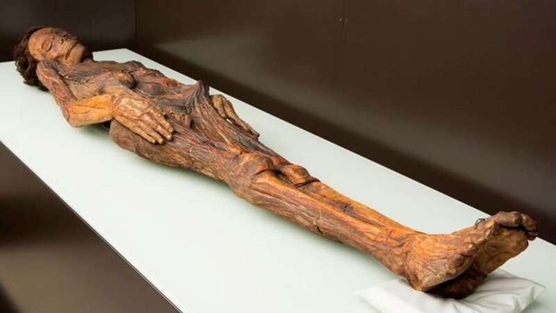 La momia del barranco de Herques en el Museo Arqueológico Nacional (Foto MAN)