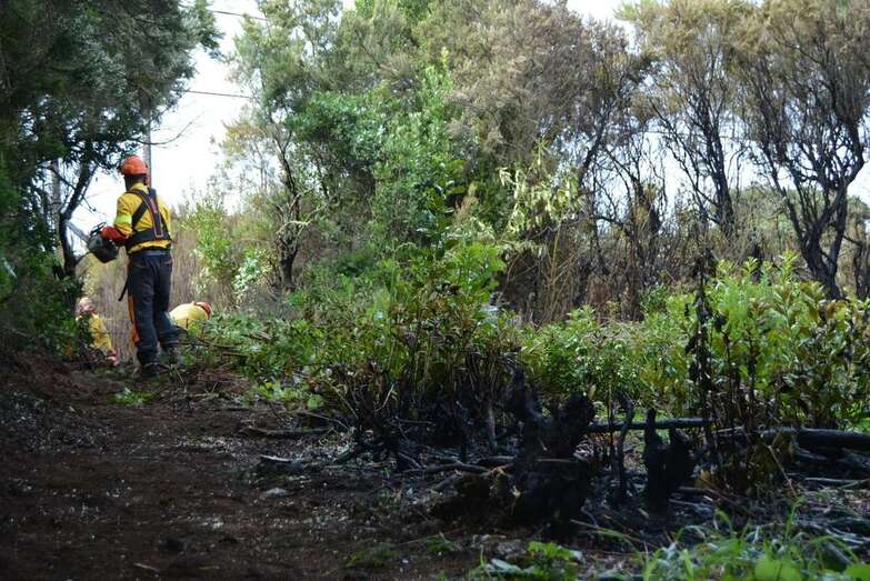 Imagen de los trabajos de extinción (Foto TA)