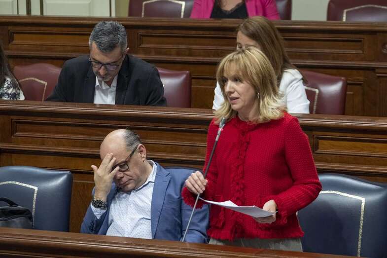La consejera Rosa Dávila, durante una intervención reciente ante el Parlamento canario (Foto TA)