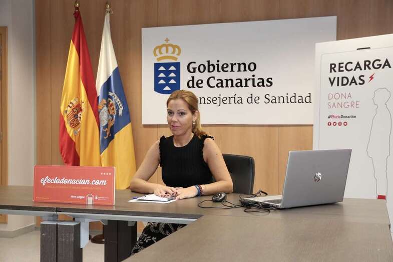 Begoña Reyero, presidenta del ICHH, durante la presentación de la campaña (Foto TA)