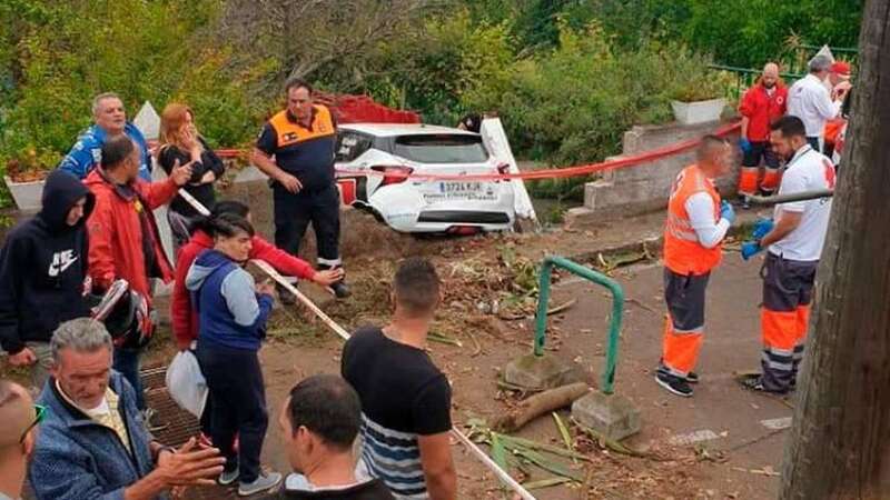 Imagen del suceso (Foto Los Jardineros Tenerife)