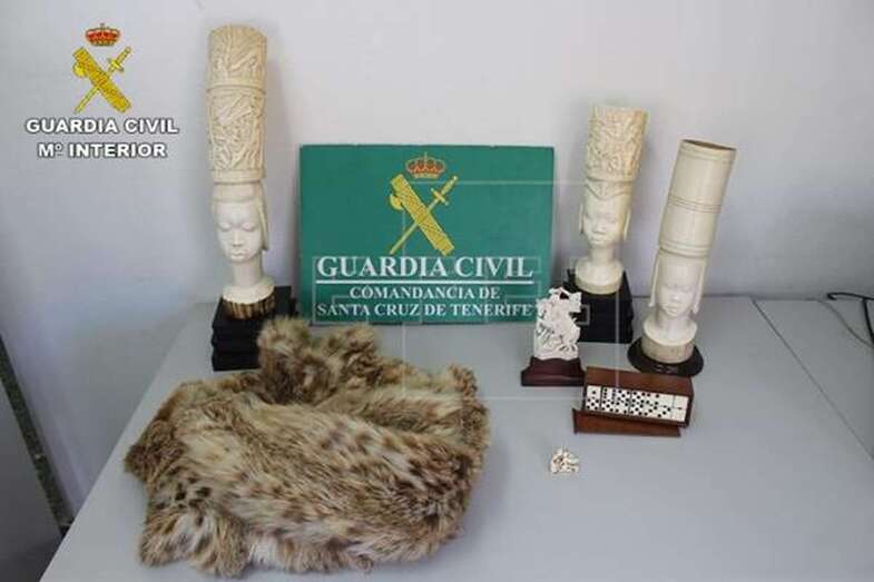 Imagen cedida por la Guardia Civil de parte de los objetos de marfil incautados en Tenerife (Foto Efe)