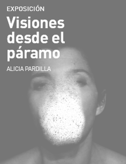 Cartel promocional de la muestra de Alicia Pardilla (Foto TA)