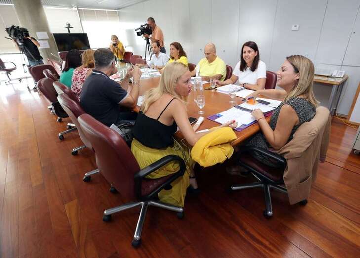 Un momento de la reunión mantenida este lunes por la consejera Noemí Santana con representantes de los Cabildos (Foto TA)