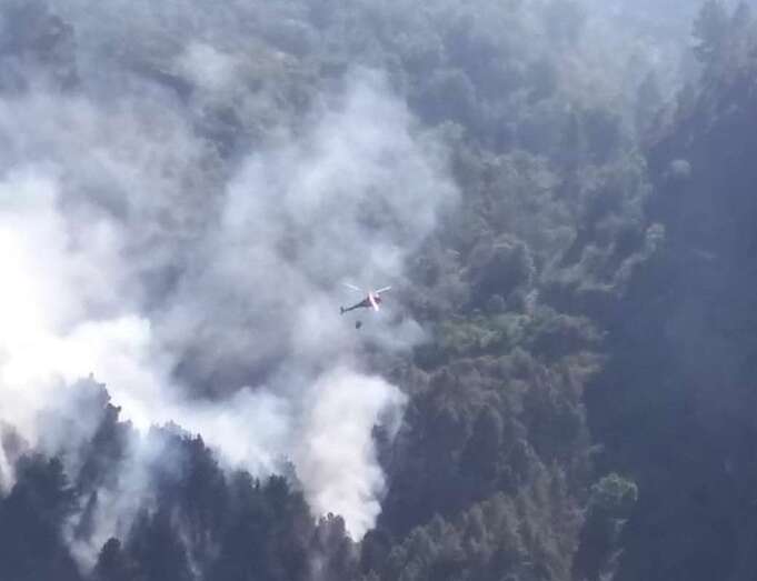 Incendio de Valleseco (Foto TA)