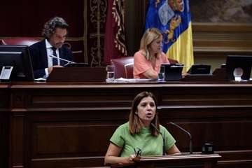 Carmen Hernández, diputada regional de NC y vicealcaldesa de Telde, en las primeras sesiones del Parlamento Canario este martes y miércoles (Foto TA)