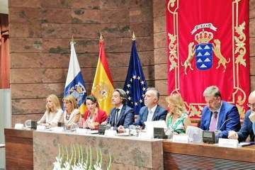 El Parlamento regional reconoce a la Policía Local y Protección Civil de Telde su labor en la extinción de los incendios (Foto TA)