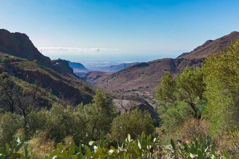 Imagen de la zona de medianías de Agüimes (Foto Antonio Rico)