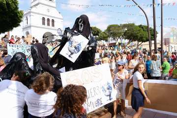 Miles de personas se movilizan en Canarias ante la emergencia climática (Foto TA)