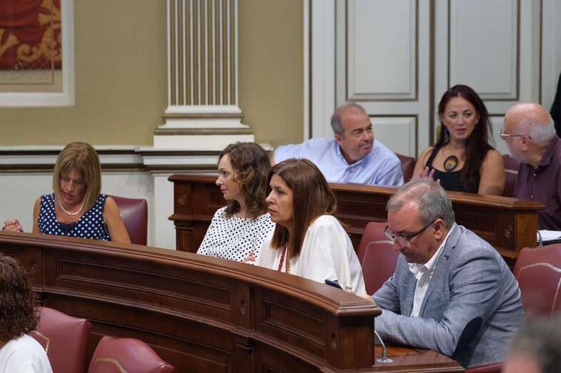 La teldense Carmen Hernández, con los diputados de NC en el Parlamento canario (Foto TA)