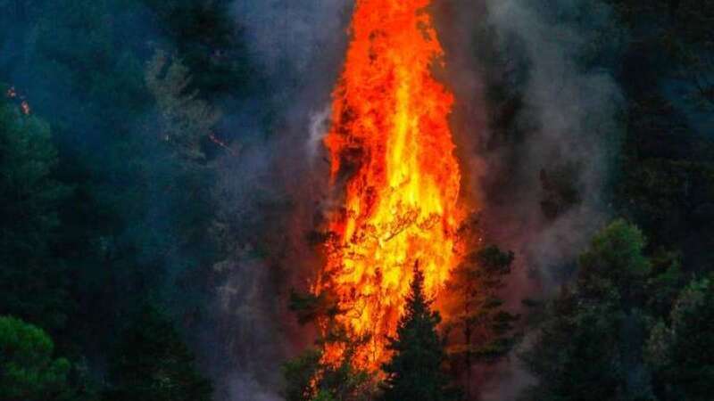 Imagen del incendio de Valleseco (Foto Canarias7)
