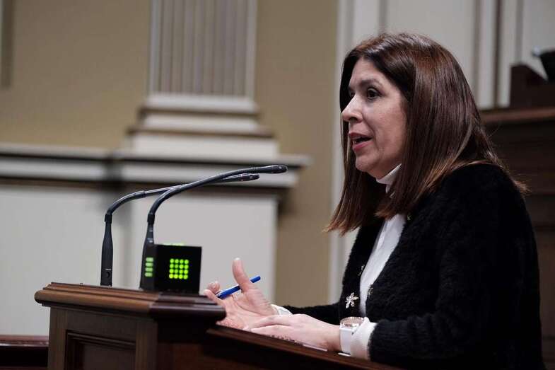 Carmen Hernández, diputada regional y vicealcaldesa de Telde, en un Pleno de la Cámara regional (Foto TA)