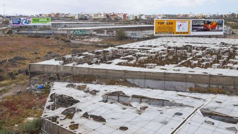 Imagen de invernaderos a la entrada de La Pardilla (Foto Canarias7)