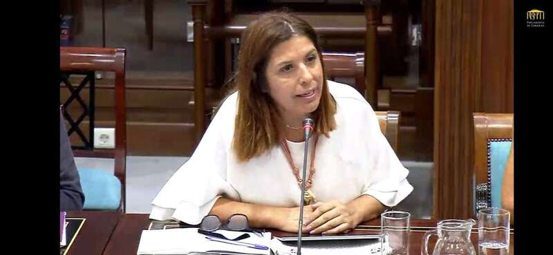 Carmen Hernández, diputada regional y vicealcaldesa de Telde (Foto TA)