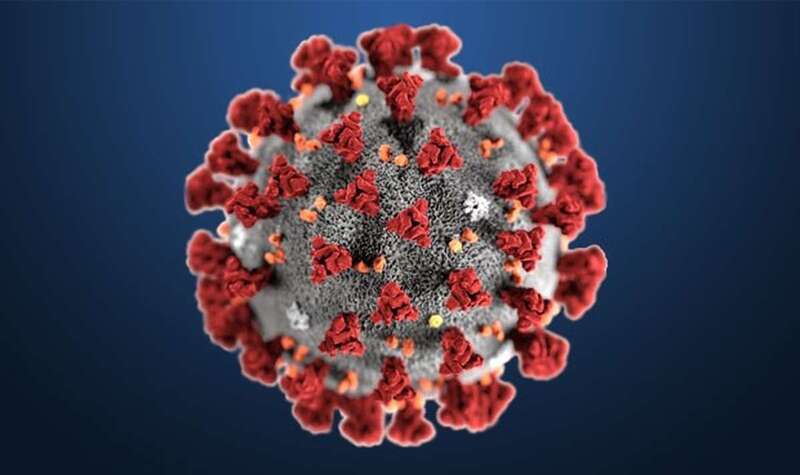 Coronavirus (Foto Redacción Médica)