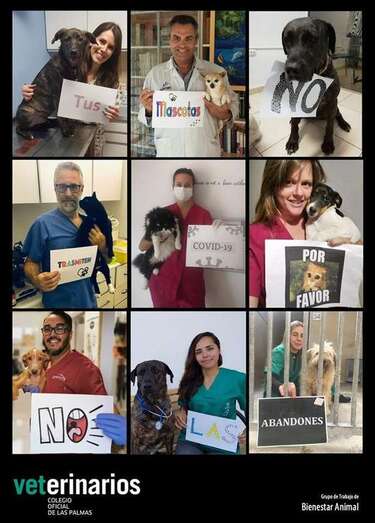 Imagen de veterinarios con mensajes de aliento (Foto TA)