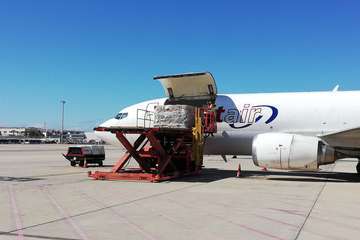 Gando recibe un nuevo cargamento con 49.200 hisopos para el diagnóstico de Covid-19 (Foto TA)