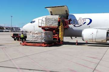 Gando recibe un nuevo cargamento con 49.200 hisopos para el diagnóstico de Covid-19 (Foto TA)