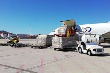 Gando recibe un nuevo cargamento con 49.200 hisopos para el diagnóstico de Covid-19 (Foto TA)