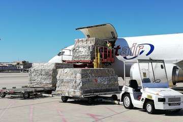 Gando recibe un nuevo cargamento con 49.200 hisopos para el diagnóstico de Covid-19 (Foto TA)