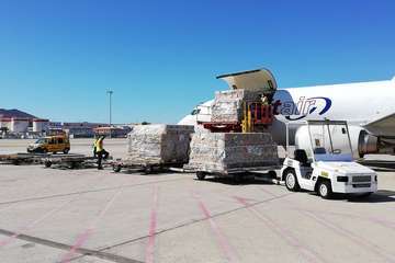 Gando recibe un nuevo cargamento con 49.200 hisopos para el diagnóstico de Covid-19 (Foto TA)