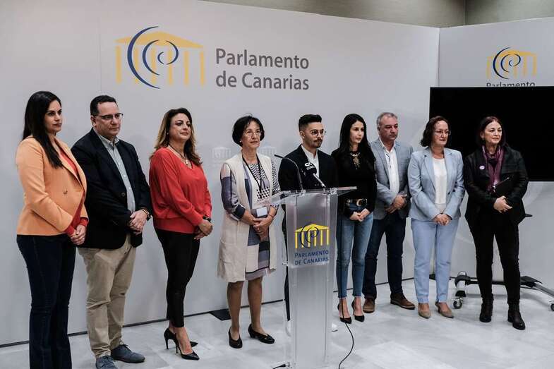 Imagen de archivo de miembros de los siete grupos parlamentarios (Foto TA)