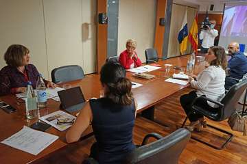 Reunión de la consejera de Empleo del Gobierno de Canarias, Elena Máñez, con representantes de la Fecam (Foto Acfi Press)