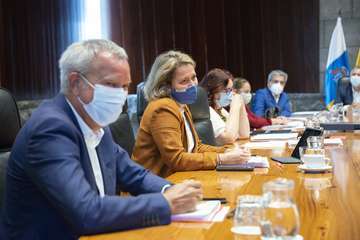 Reunión del Consejo de Gobierno de Canarias/Acfi Press.