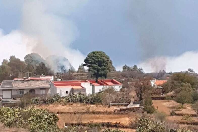 Conato de incendio forestal en El Hierro/DA.