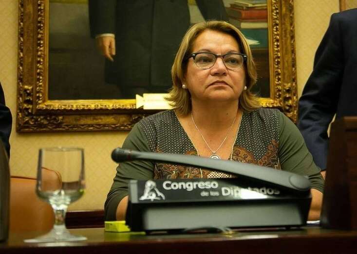Meri Pita, diputada de Unidas Podemos en el Congreso por Las Palmas/TA.