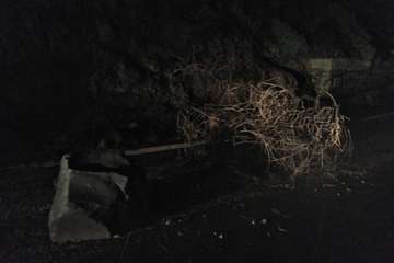 El paso de la tormenta Filomena por Canarias ha dejado en los últimos días numerosas incidencias, principalmente, en las carreteras/TA.