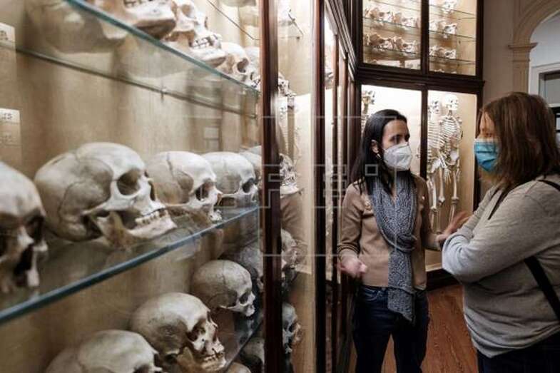 Los primeros habitantes de Gran Canaria apenas aprovecharon la enorme despensa de alimentos del océano hasta poco antes de la llegada de los europeos / EFE Ángel Medina G.