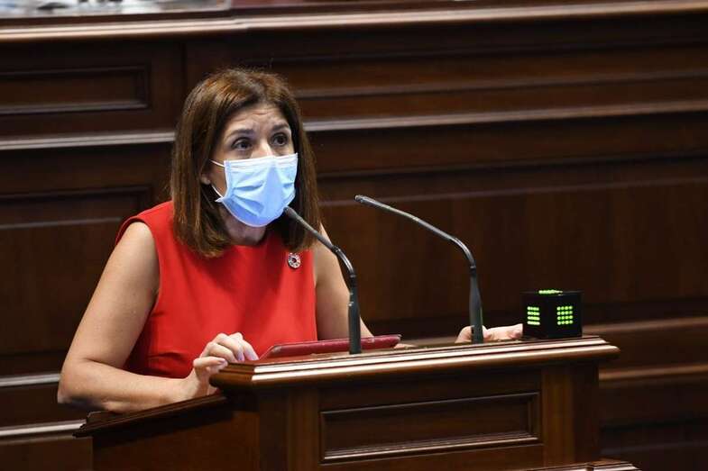 Carmen Hernández, durante su intervención ante el Parlamento / TA