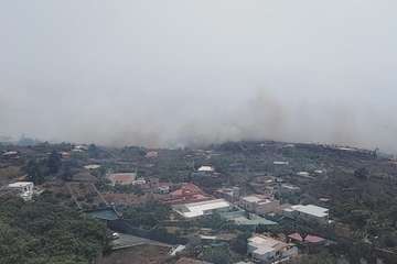 Incendio en La Palma/TA.